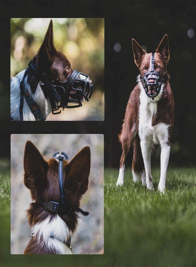 RoverPets Dog Muzzle, Breathable Basket Muzzles for Stop Biting, Barking and Chewing, Best for Aggressive Dogs Black Color (Small - 2NO) - Image 4